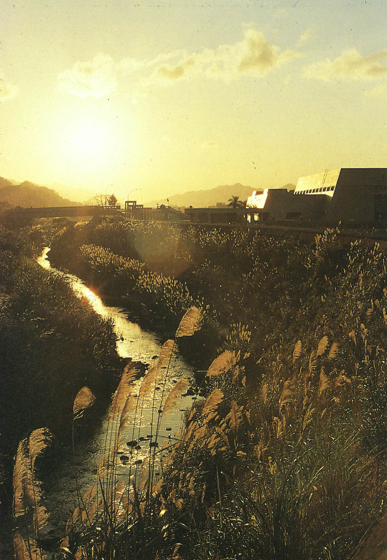 「醉夢溪」由來軼談